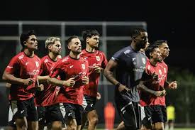 Timnas Indonesia